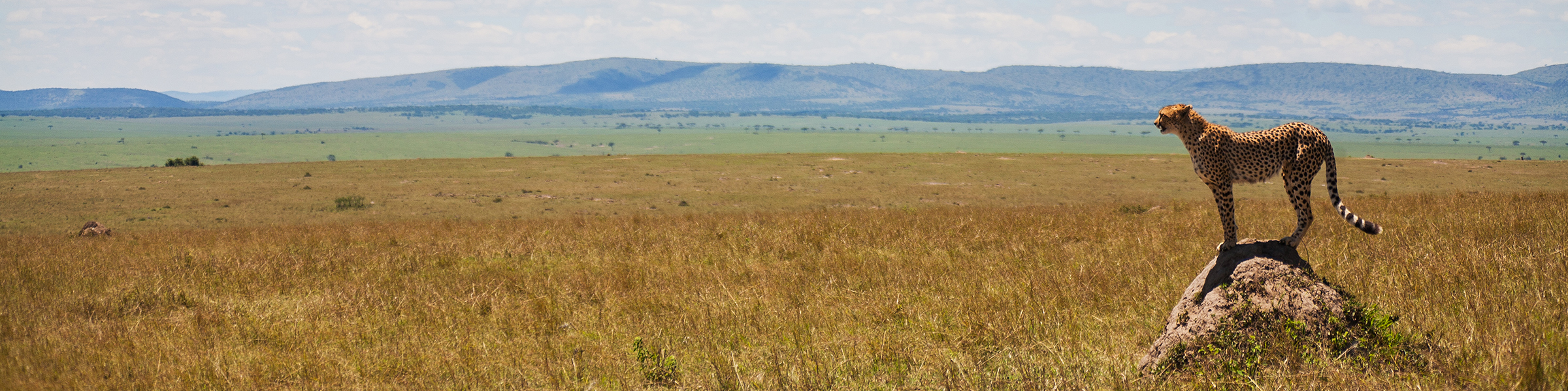 Kenya Maasai Mara National Reserve