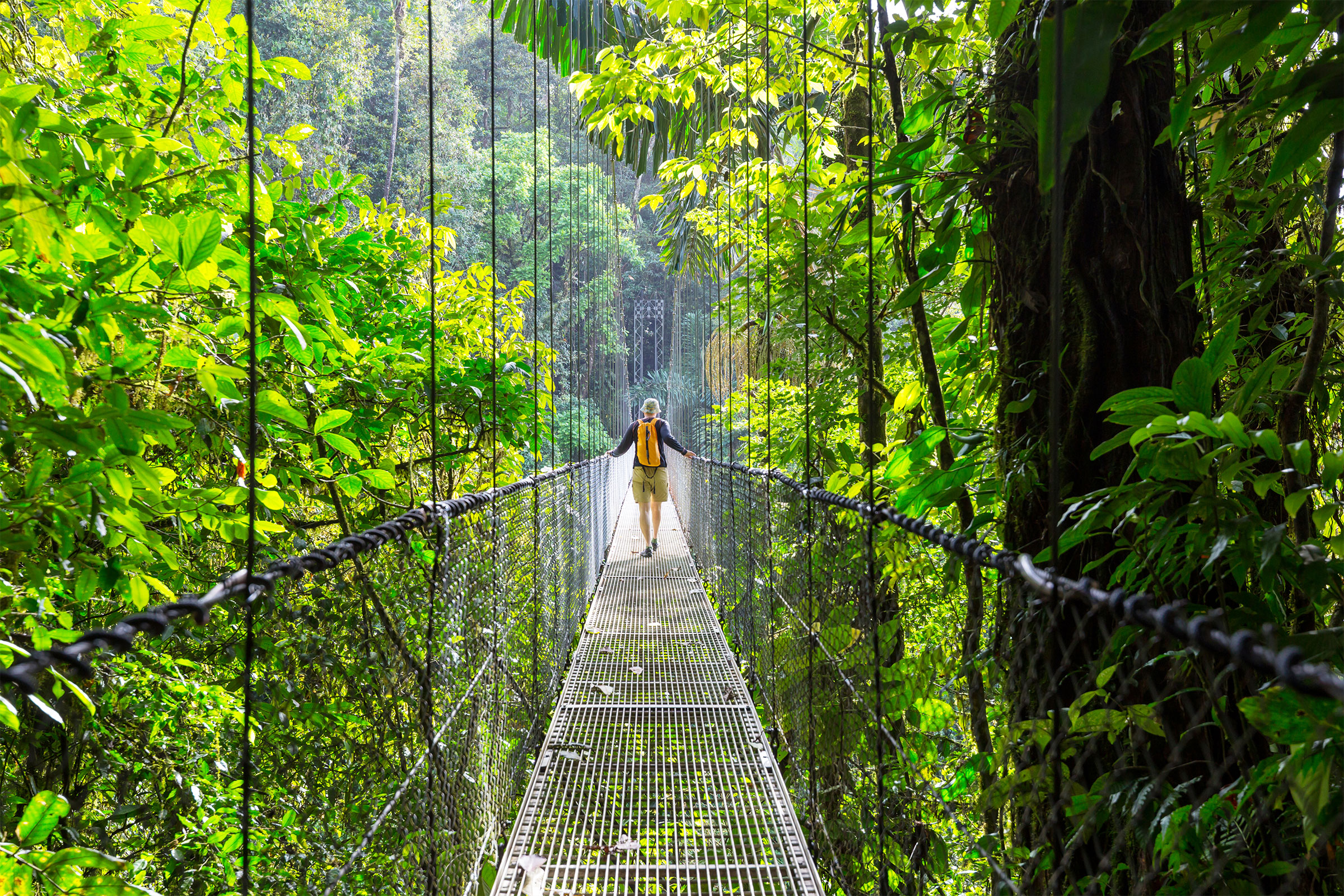 Suspension bridge in jungle of Costa Rica
