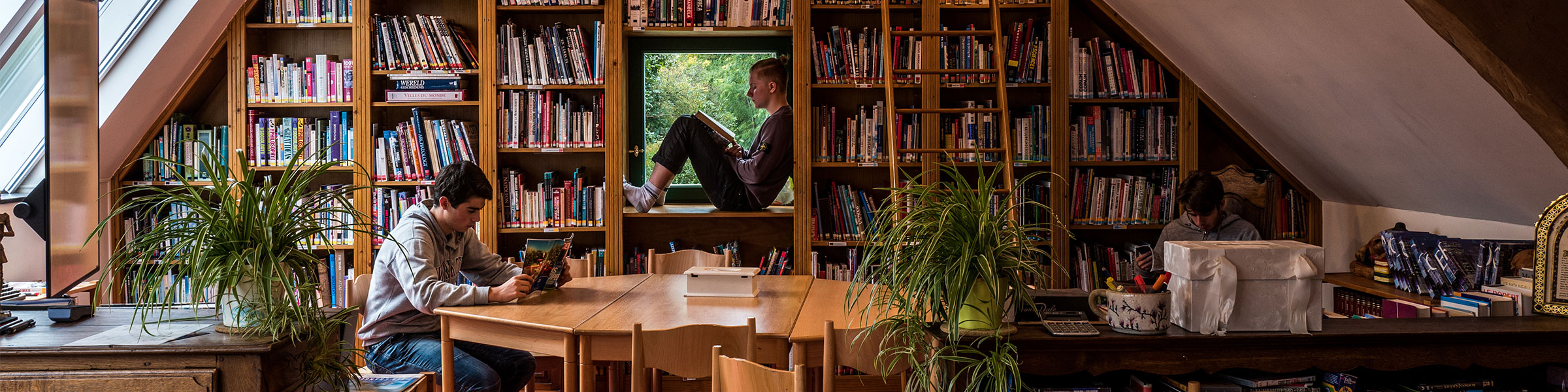 Adolescent students in library