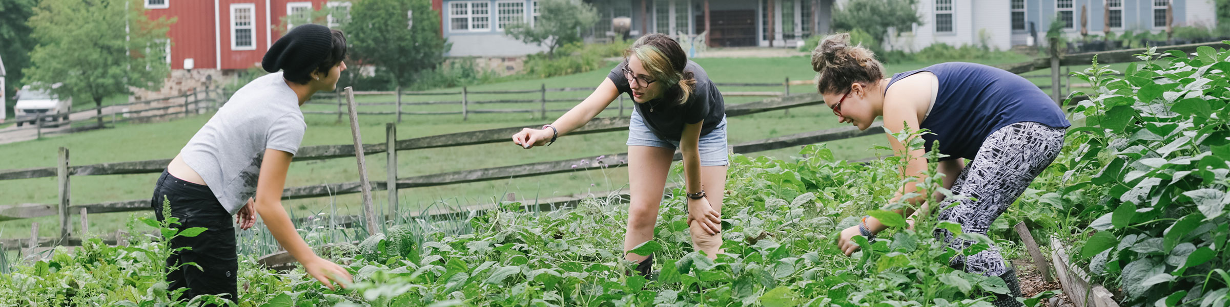 Montessori adolescents farming