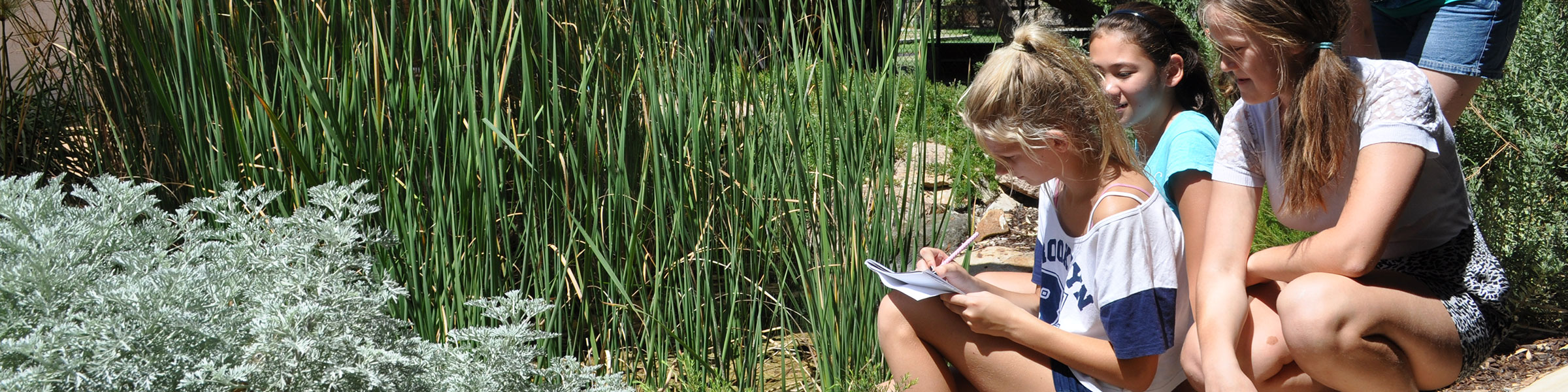 Children outdoor botany lesson