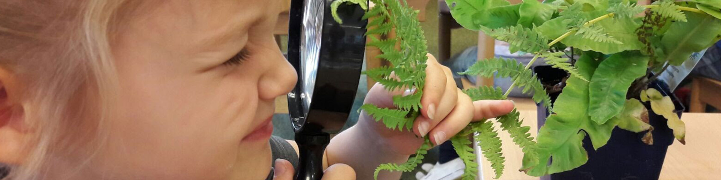 Child looking glass at leaf