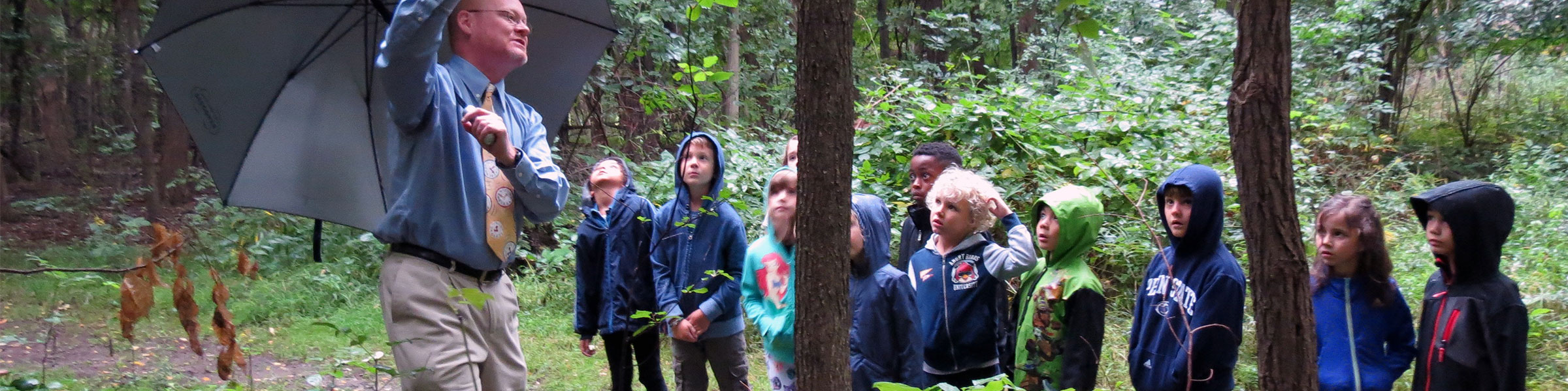 Montessori elementary children in forest