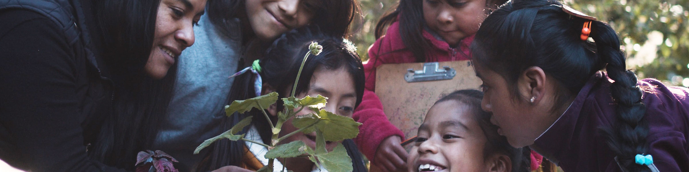Children outdoors in nature