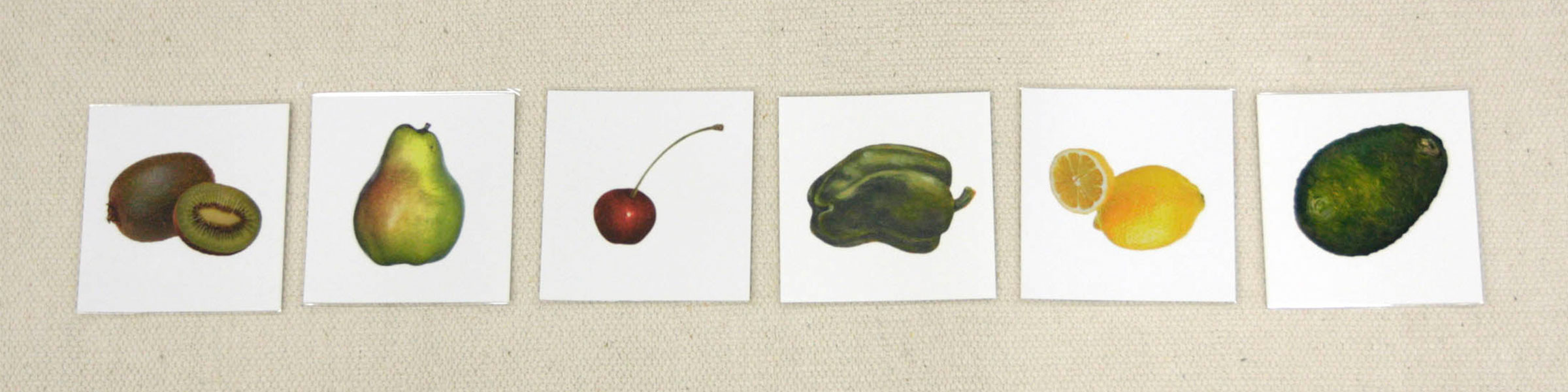 Montessori nomenclature card material