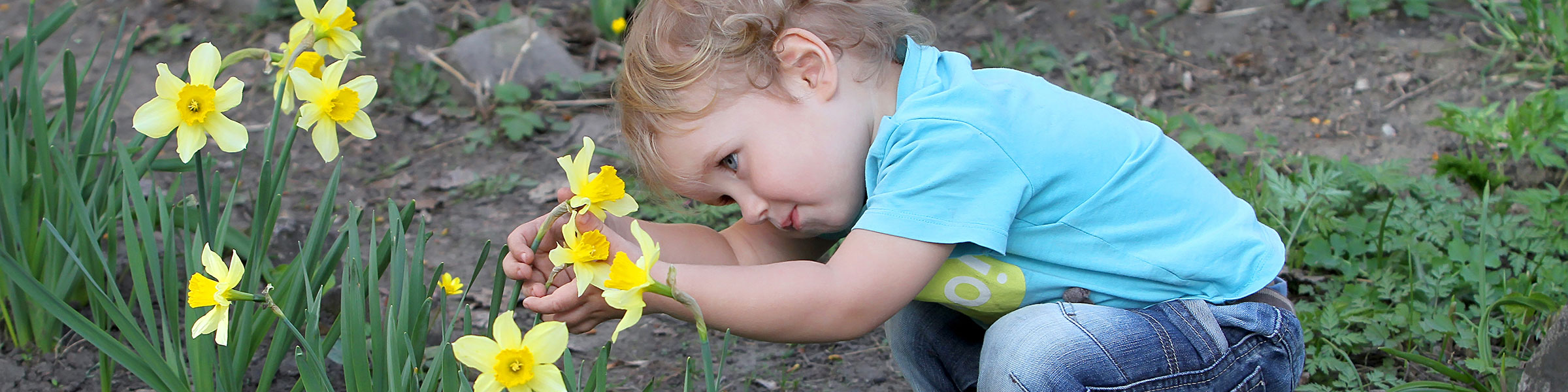 Young child looking at flowers