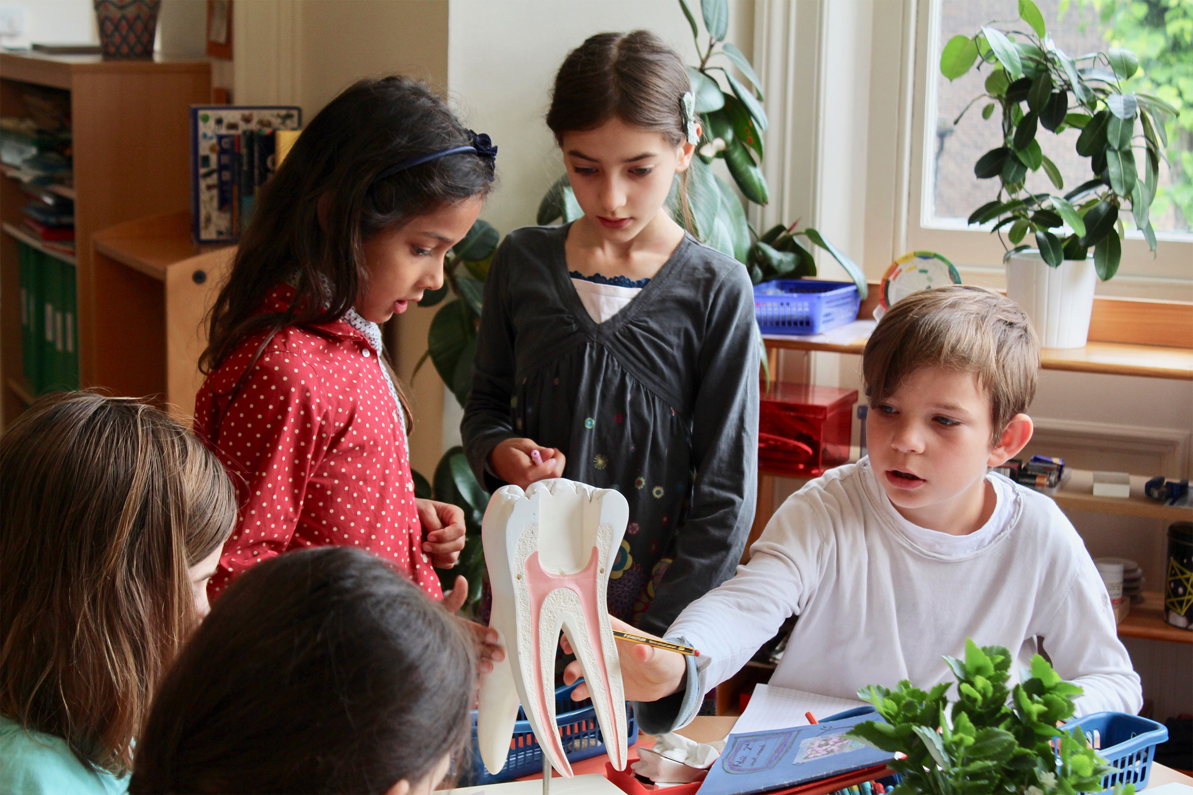 Montessori children science lesson