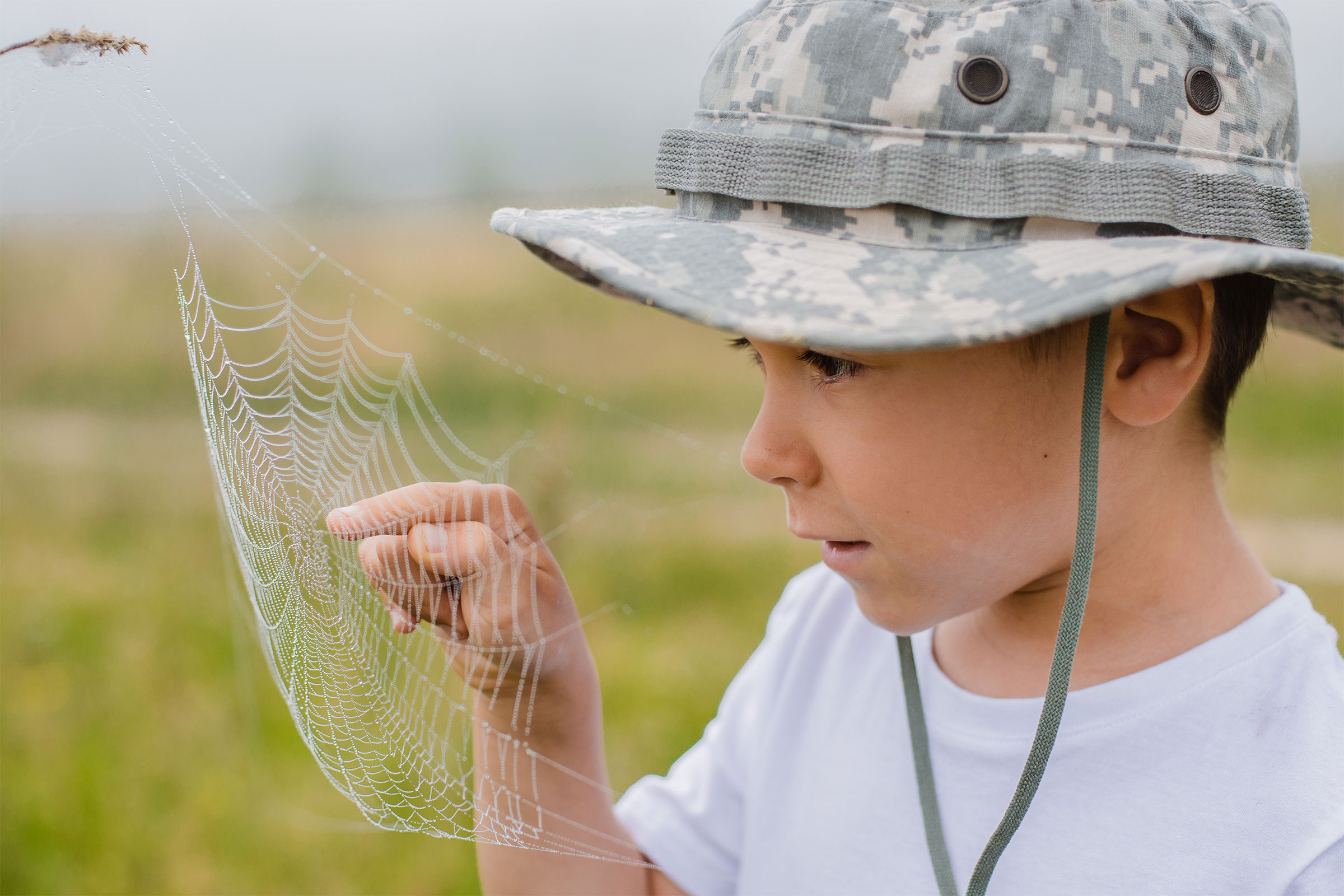 Child looking at spider web