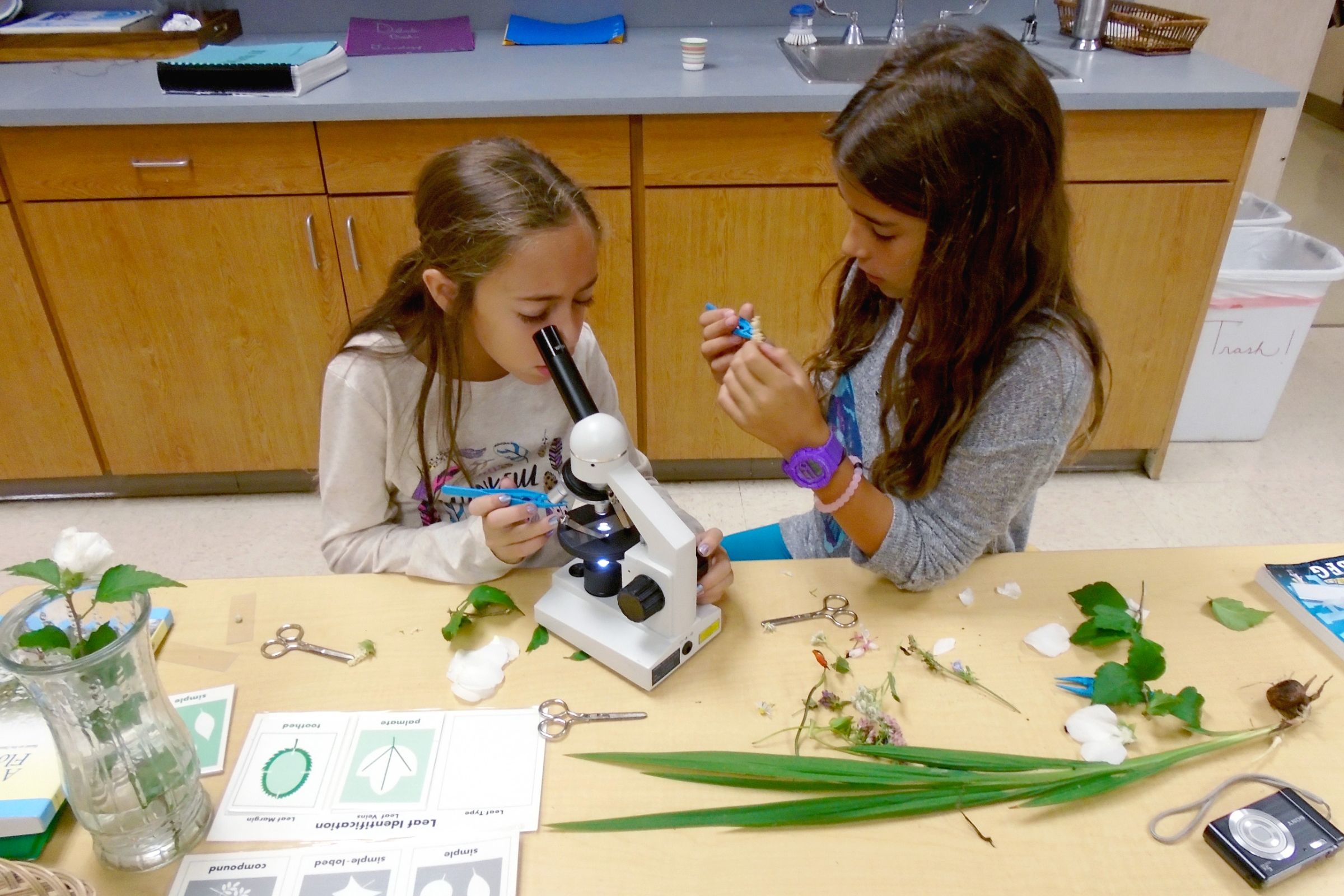 Montessori elementary students science lesson
