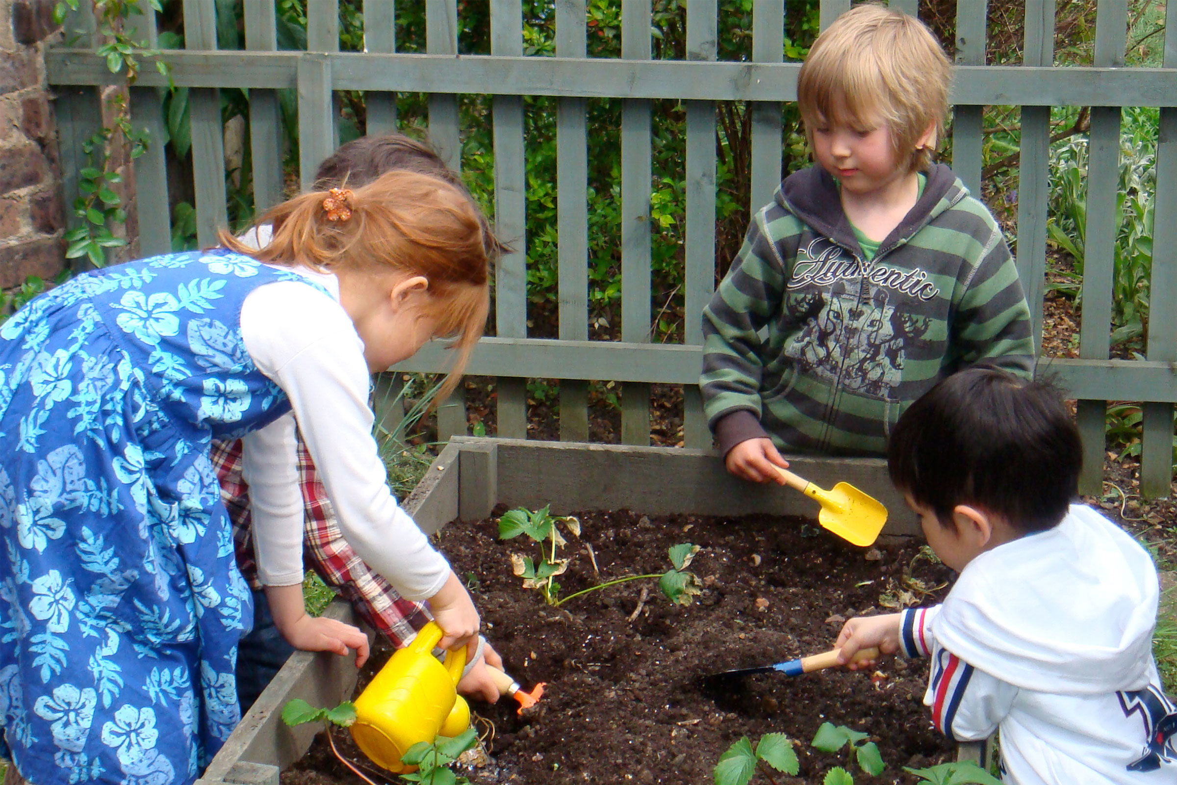 Group of children gardening