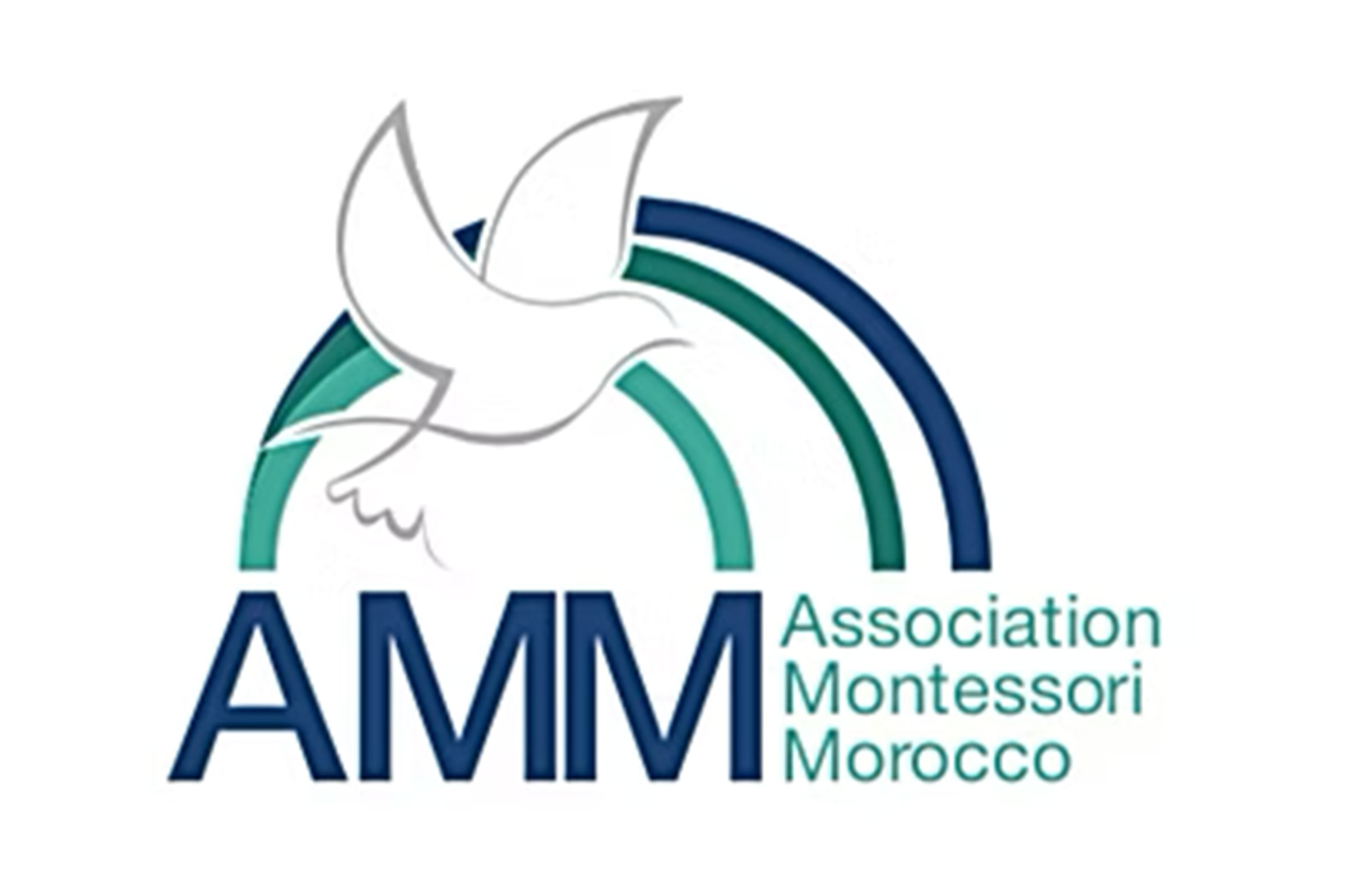 AMM logo