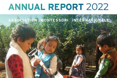 AMI Annual Report 2022