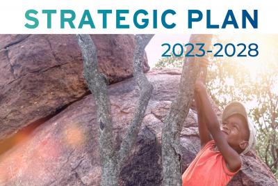 AMI Strategic Plan 2023-2028