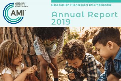2019 AMI Annual Report Cover