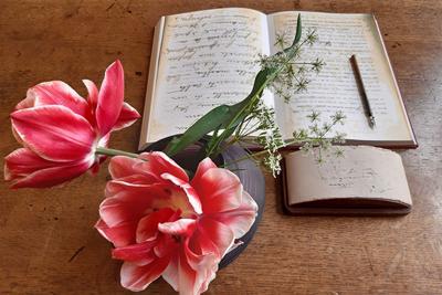 Maria Montessori tulips with book on desk