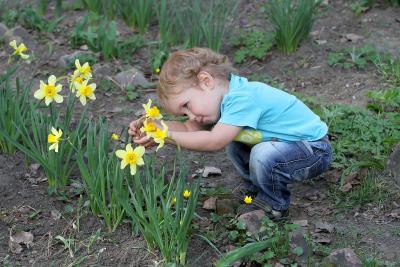 Young child looking at flowers