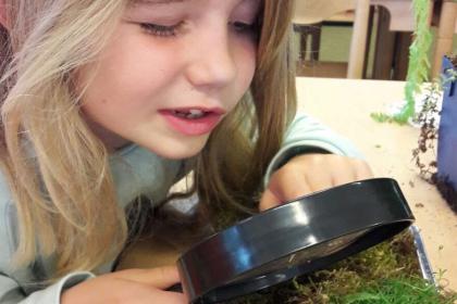 Child looking glass leaf