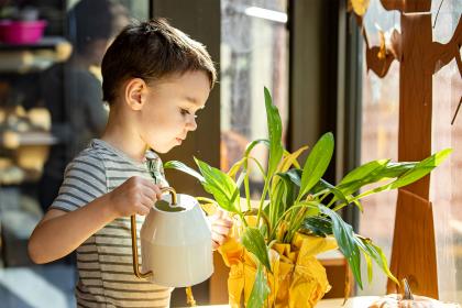 Child watering plant